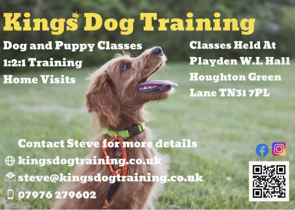 Kings Dog Training
